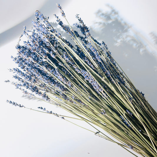 DRIED LAVENDER